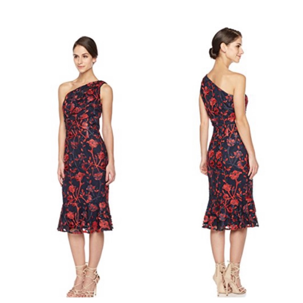 Social Graces One-Shoulder Embroidered Dress 12